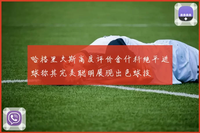 哈格里夫斯高度评价舍什科绝平进球称其完美聪明展现出色球技